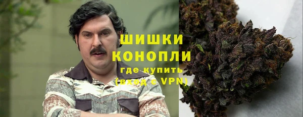 дживик Сосновый Бор