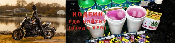 дживик Сосновый Бор