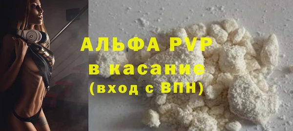 дживик Сосновый Бор