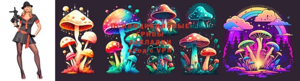 дживик Сосновый Бор