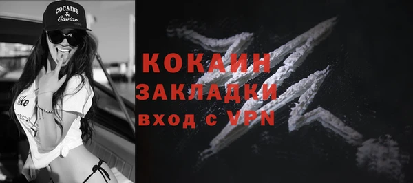 дживик Сосновый Бор