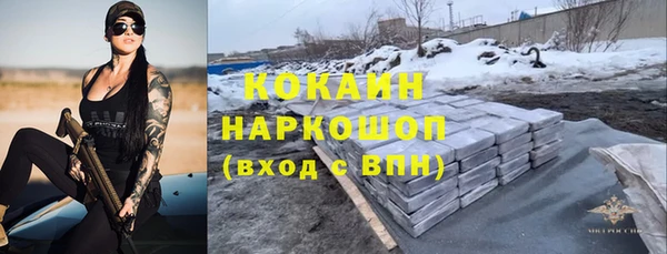 дживик Сосновый Бор
