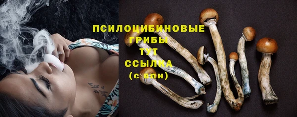 дживик Сосновый Бор
