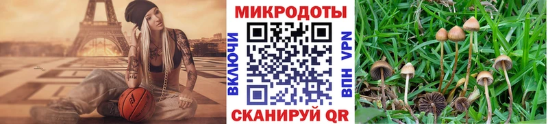 Галлюциногенные грибы мухоморы  Урень 